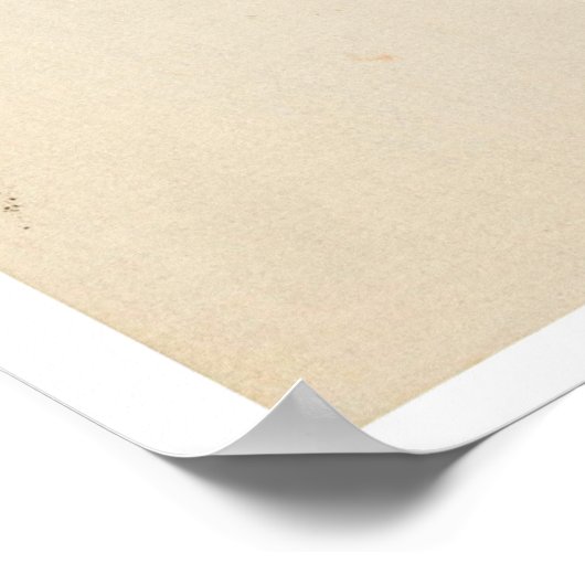 Crow on a Snowy Branch by Ohara Koson Poster (Ecke)