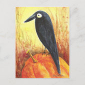 Crow on Pumpkin Postcard von Liz Revit Postkarte (Vorderseite)