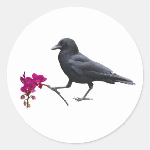 Crow Orchid Stickers