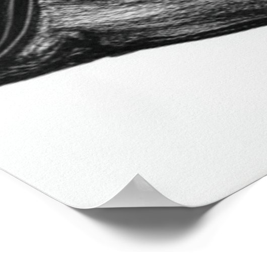 Crow Perched on Bare Winter Branches Poster (Ecke)