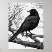 Crow Perched on Bare Winter Branches Poster (Vorne)