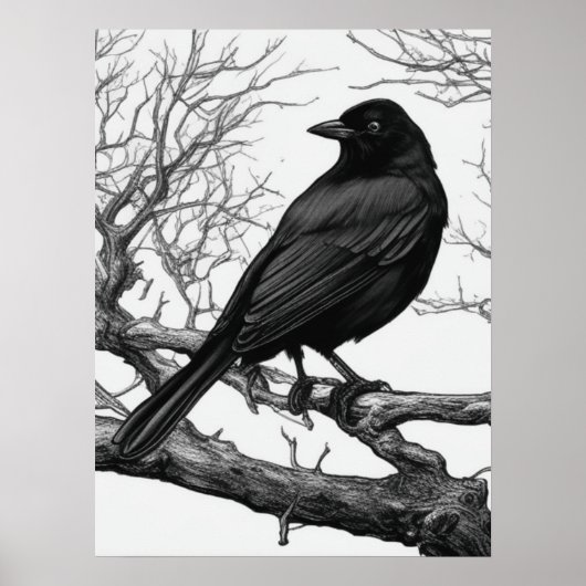 Crow Perched on Bare Winter Branches Poster (Vorne)
