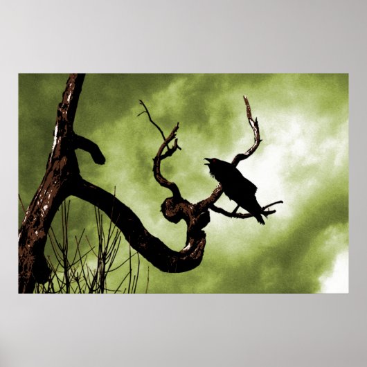 Crow Perching auf einem Poster für einen toten Bau (Vorne)