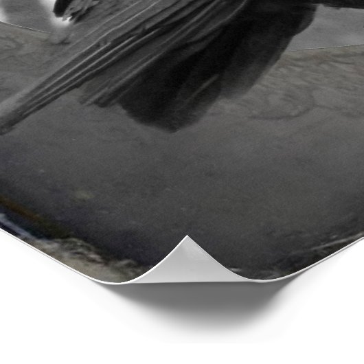 Crow-Portrait Poster (Ecke)