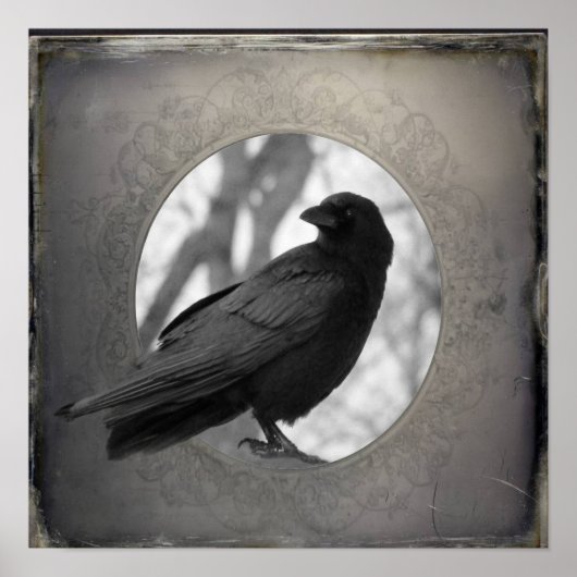 Crow-Portrait Poster (Vorne)