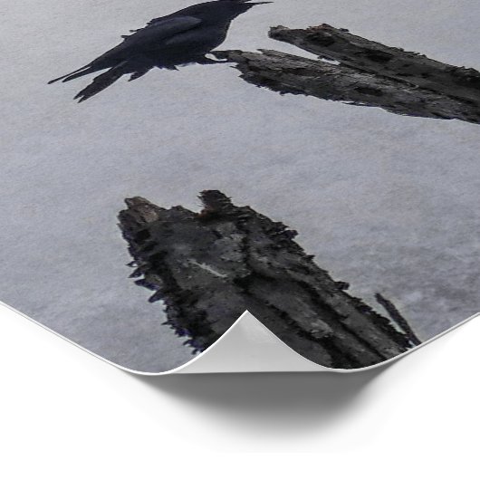 Crow Poster (Ecke)