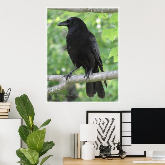 Crow Poster (Heimbüro)