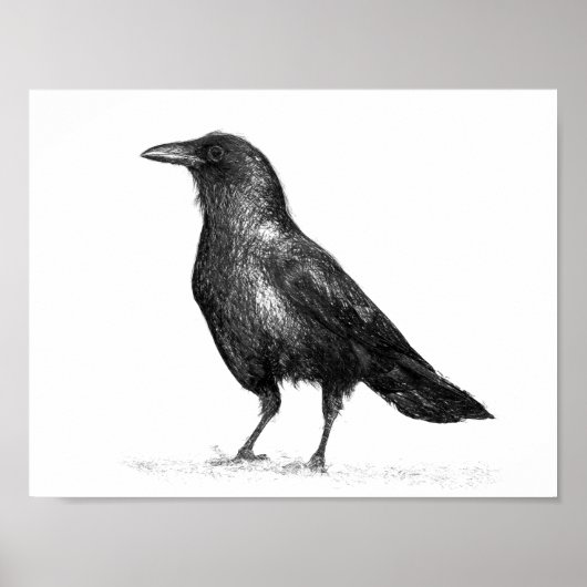 Crow Poster (Vorne)