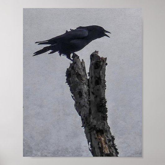 Crow Poster (Vorne)