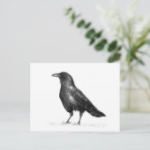 Crow Postkarte (Stehend Vorderseite)
