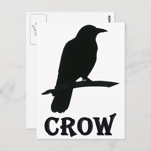 Crow Postkarte (Vorne/Hinten)