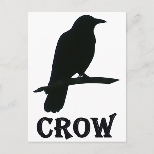 Crow Postkarte (Vorderseite)