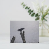 Crow Postkarte (Stehend Vorderseite)