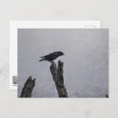 Crow Postkarte (Vorne/Hinten)