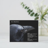 Crow Postkarte (Stehend Vorderseite)