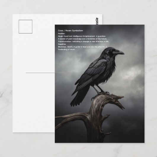 Crow Postkarte (Vorne/Hinten)