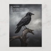 Crow Postkarte (Vorderseite)