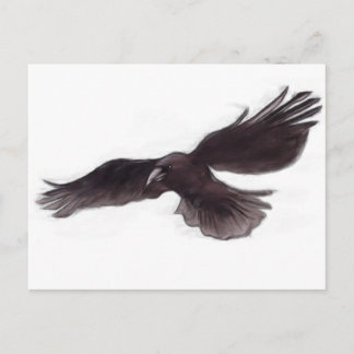 Crow Postkarte