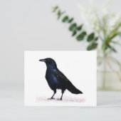 Crow Postkarte (Stehend Vorderseite)
