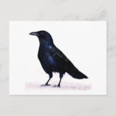 Crow Postkarte (Vorderseite)