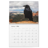 Crow Raven 2025 Kalender (Jan 2026)