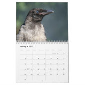 Crow Raven 2025 Kalender (Jan 2027)