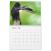 Crow Raven Calendar 2025 Kalender (Feb 2026)