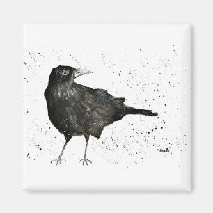 Crow raven magnet