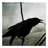 Crow/Raven Poster (Vorderseite)
