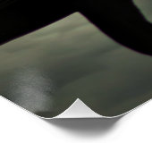 Crow/Raven Poster (Ecke)