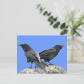 Crow Raven Postkarte (Stehend Vorderseite)