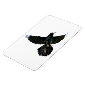 Crow Raven Premium Flexi Magnet (Linke Seite)