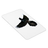 Crow Raven Premium Flexi Magnet (Rechte Seite)