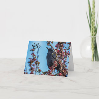 Crow Says Hello  Dankeskarte