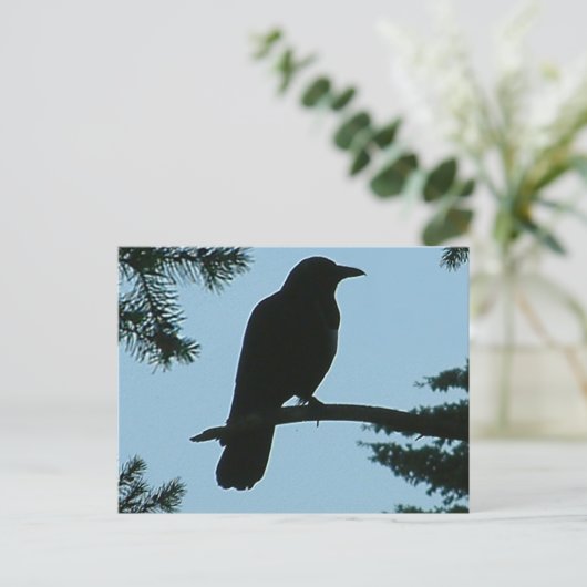 Crow-Sitting in Tree Postkarte (Stehend Vorderseite)