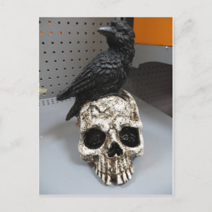Crow & Skull Postkarte