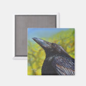Crow Spring Sky Magnet (Vorderseite/Rückseite)