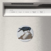 Crow und Harmonica Magnet (In Situ (Geschirrspüler))