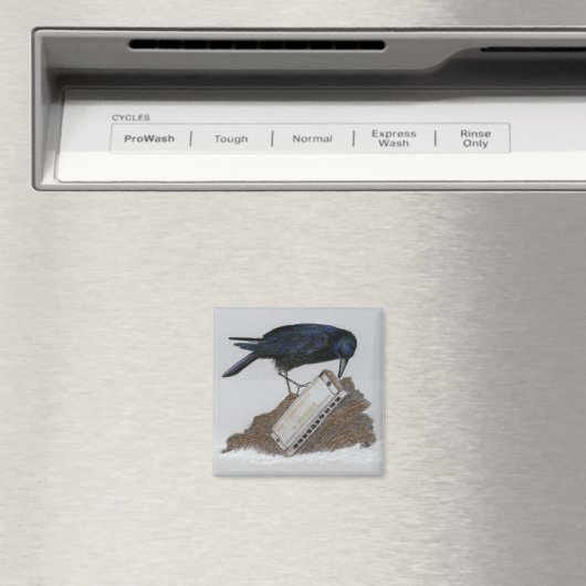 Crow und Harmonica Magnet (In Situ (Geschirrspüler))