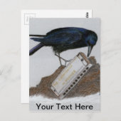 Crow und Harmonica Postkarte (Vorne/Hinten)