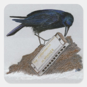 Crow und Harmonica Quadratischer Aufkleber