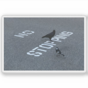 Crow und Magpie Aufkleber