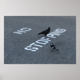Crow und Magpie Poster