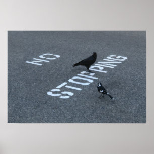 Crow und Magpie Poster