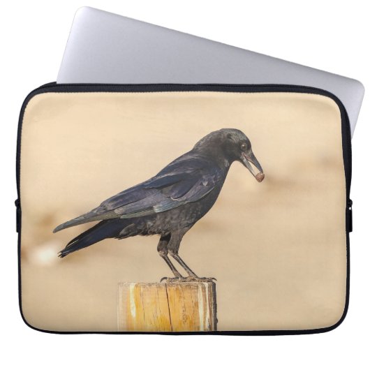 Crow und seine Nut Laptopschutzhülle (Vorderseite)