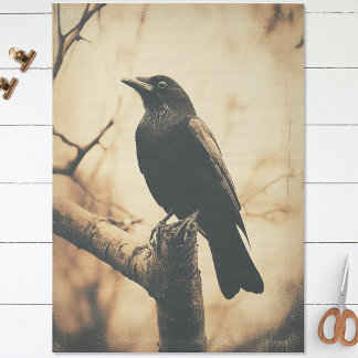 Crow Vintag Style Decoupage Seidenpapier