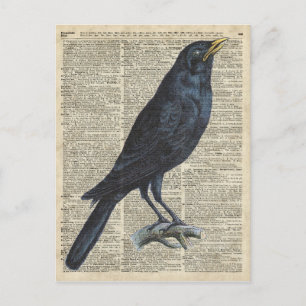 Crow Vintage Illustration auf der alten Enzyklopäd Postkarte