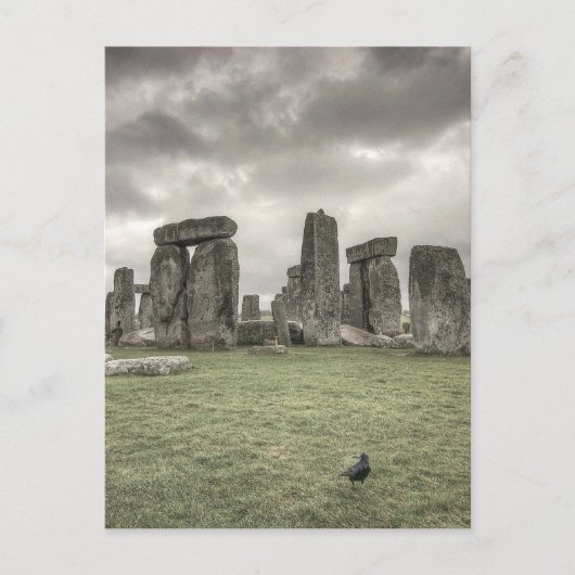 Crow vor Stonehenge, England Postkarte (Vorderseite)