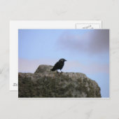 Crow-Vormund von Stone Henge Postkarte (Vorne/Hinten)