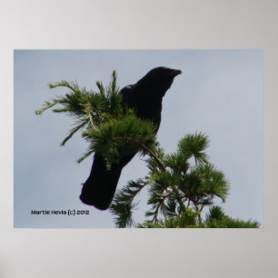 Crow Watch Tower Poster